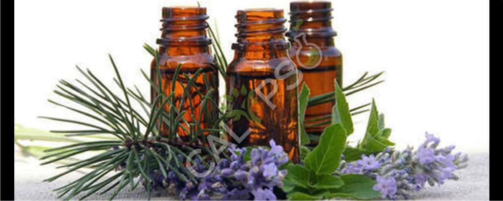 Pure lavanda verde absoluto aceite